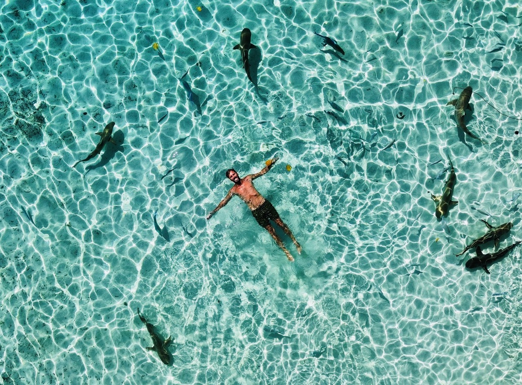 Floating in clear water surrounded by reef sharks